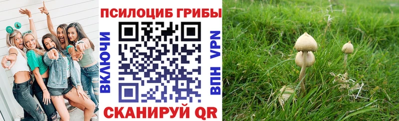 Псилоцибиновые грибы GOLDEN TEACHER  blacksprut зеркало  Артёмовский 
